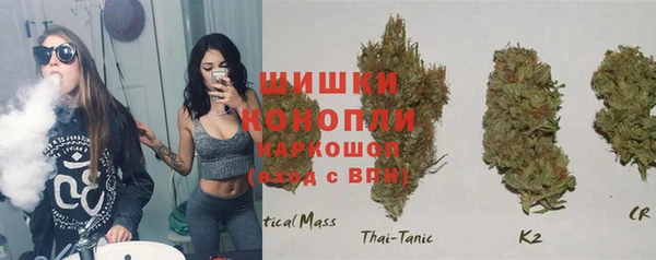 2c-b Осинники