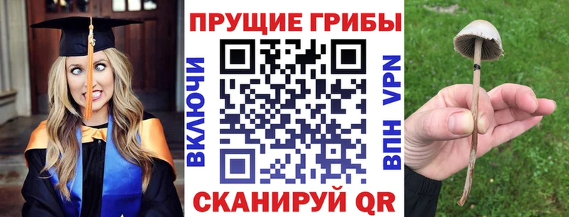 Псилоцибиновые грибы ЛСД  Туринск 